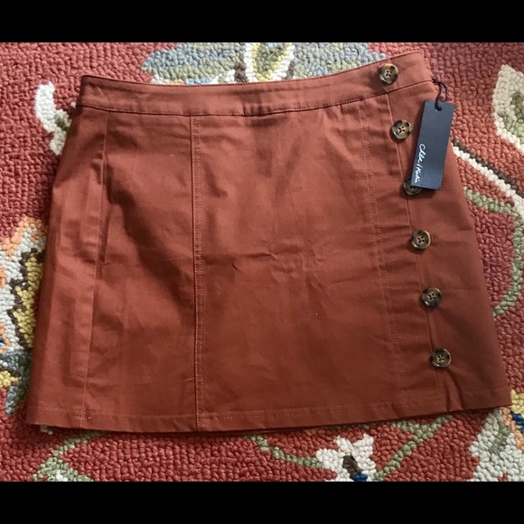 NWT Button Down Mini Skirt - Picture 4 of 5